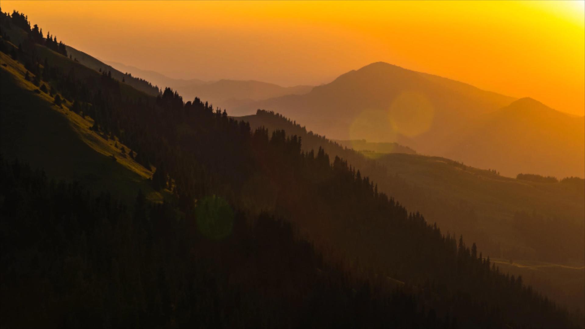 4K大山山脉针叶林金黄色日出视频的预览图