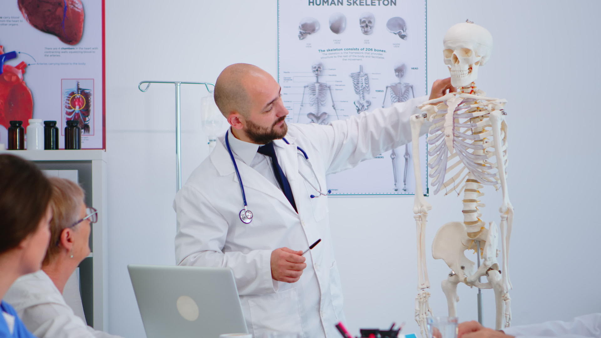 专家医生使用骨骼模型来显示身体骨骼功能视频的预览图