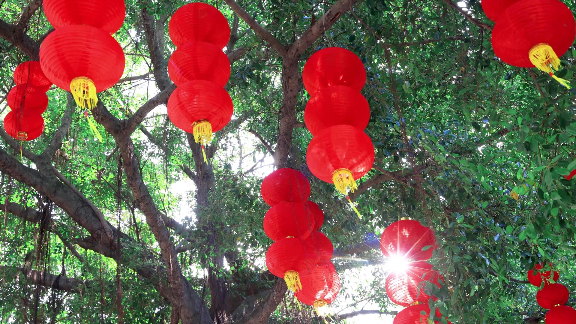 新春中国年喜庆红灯笼年味视频的预览图
