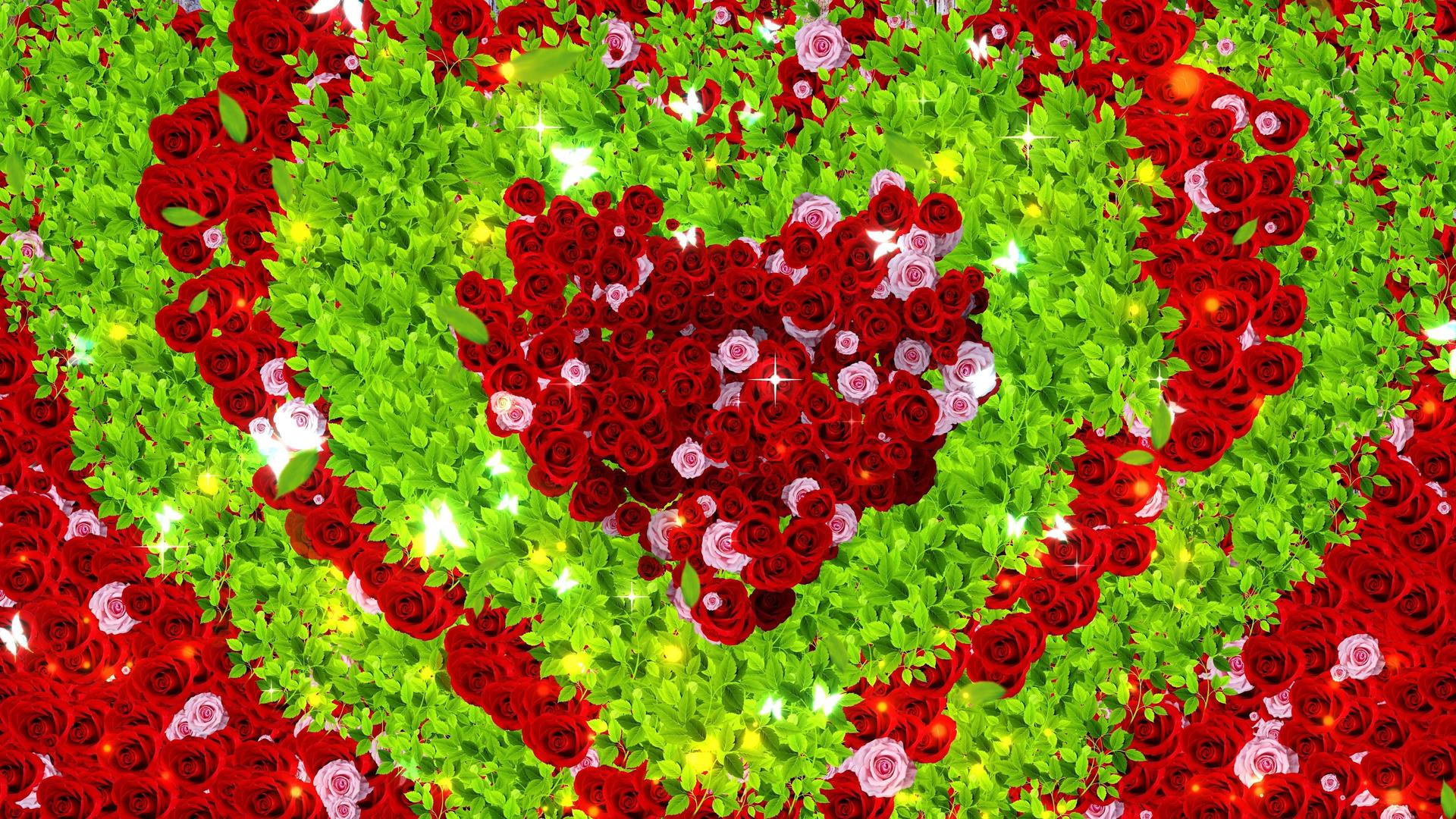 4K唯美的爱心玫瑰花背景素材视频的预览图