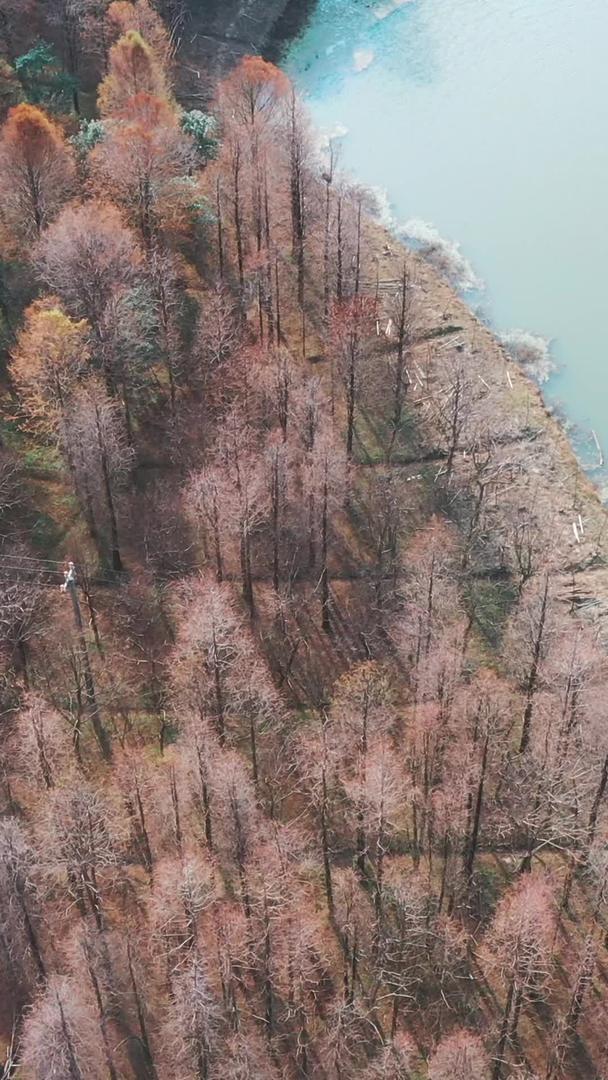 雪浪湖度假区自然绿化视频的预览图