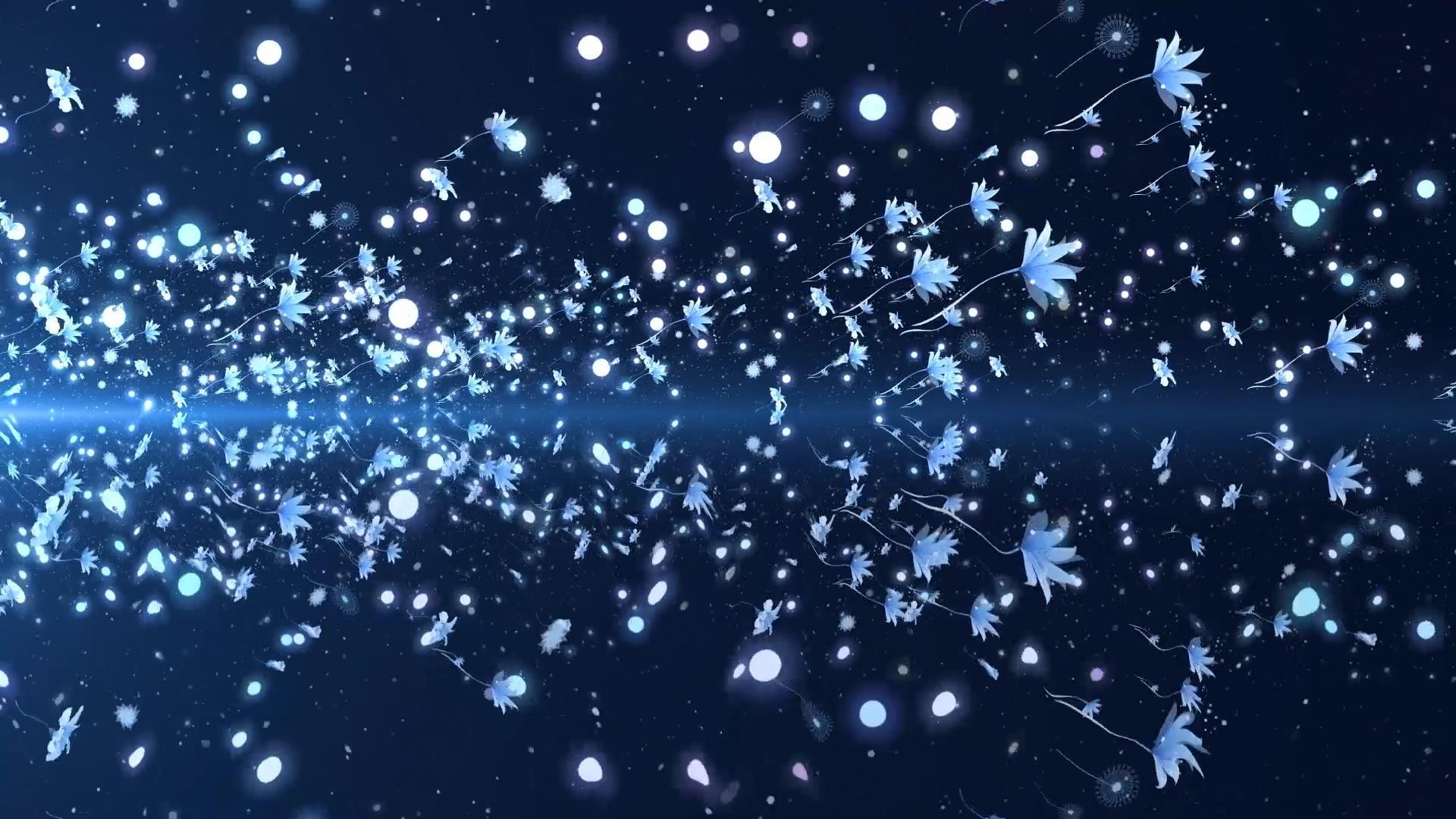 唯美的大气粒子花朵飘散动态背景视频视频的预览图