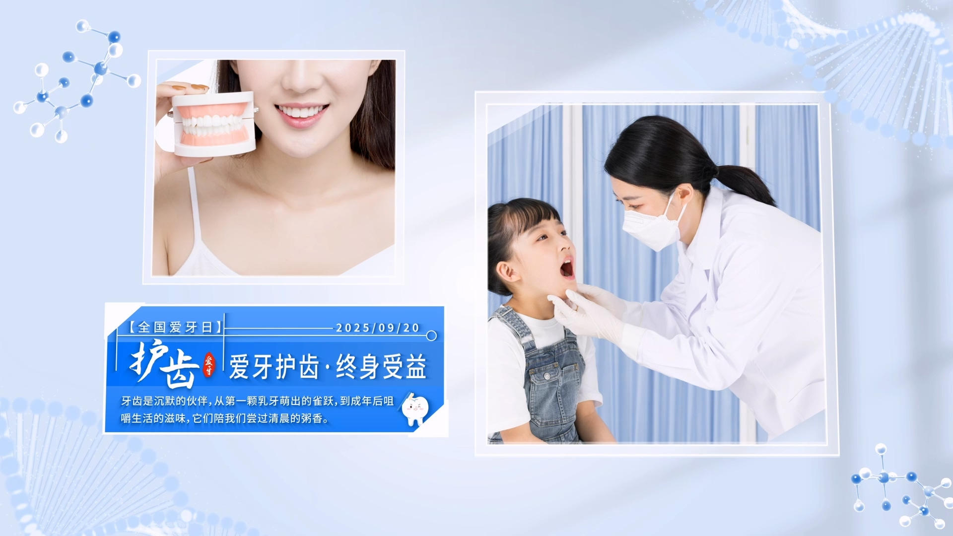 简洁清新全国爱牙日宣传片AE模板视频的预览图