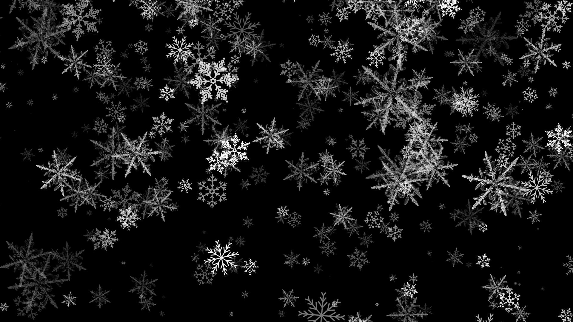 4K白色冰晶雪花粒子飘舞下落视频的预览图