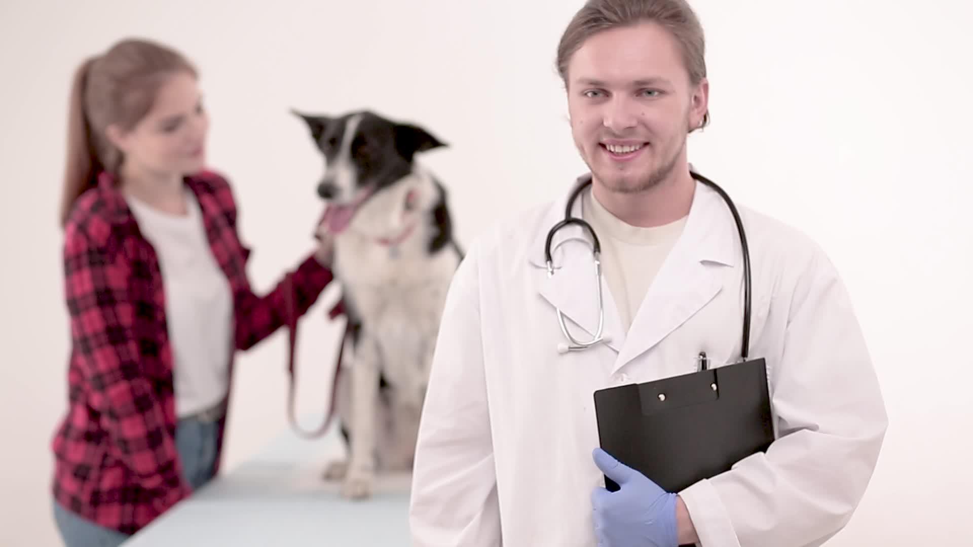 检查后在兽医那里看一只可爱的狗视频的预览图