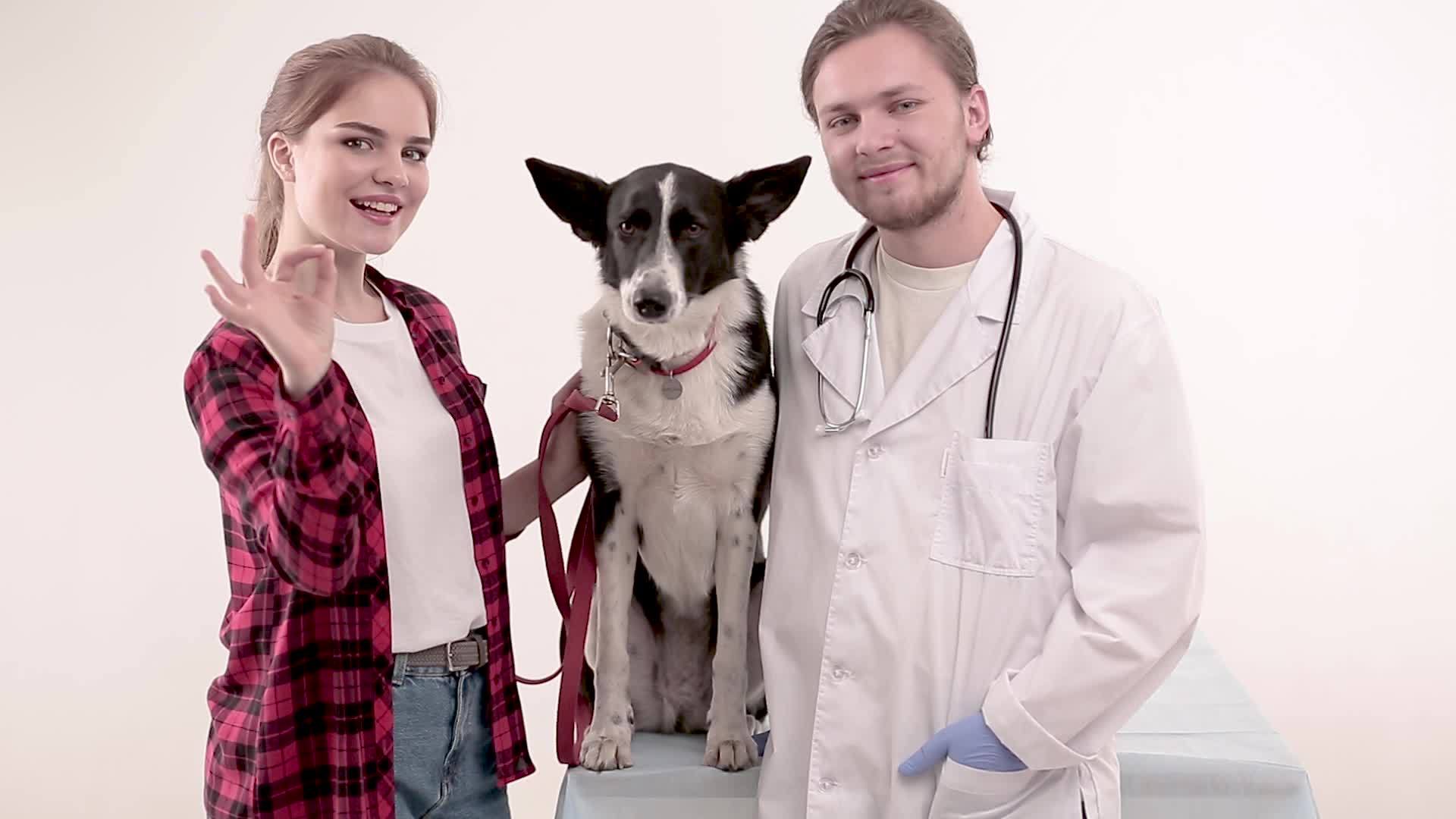 检查后在兽医那里看一只可爱的狗视频的预览图