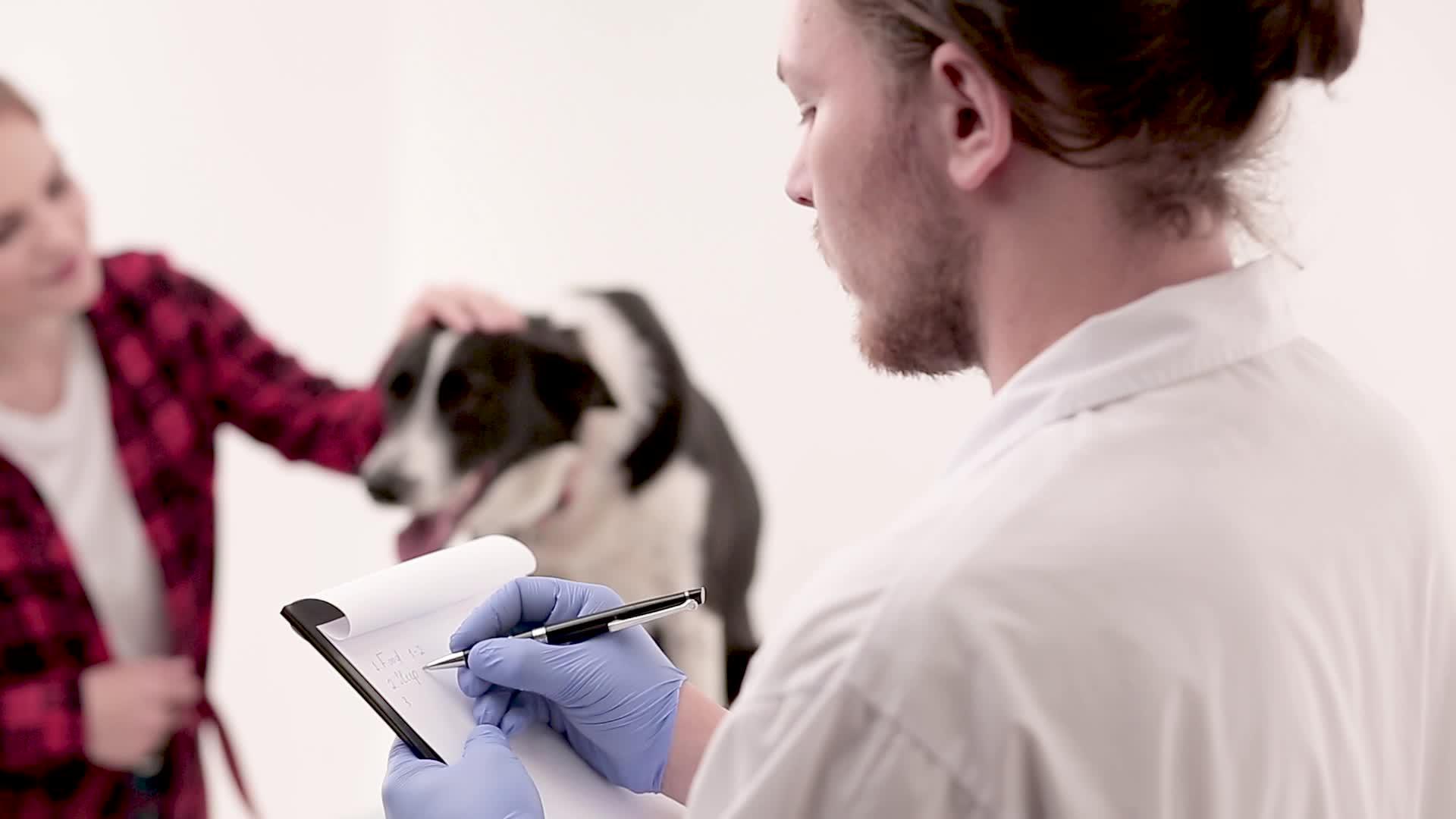 兽医在狗医用卡上做笔记视频的预览图
