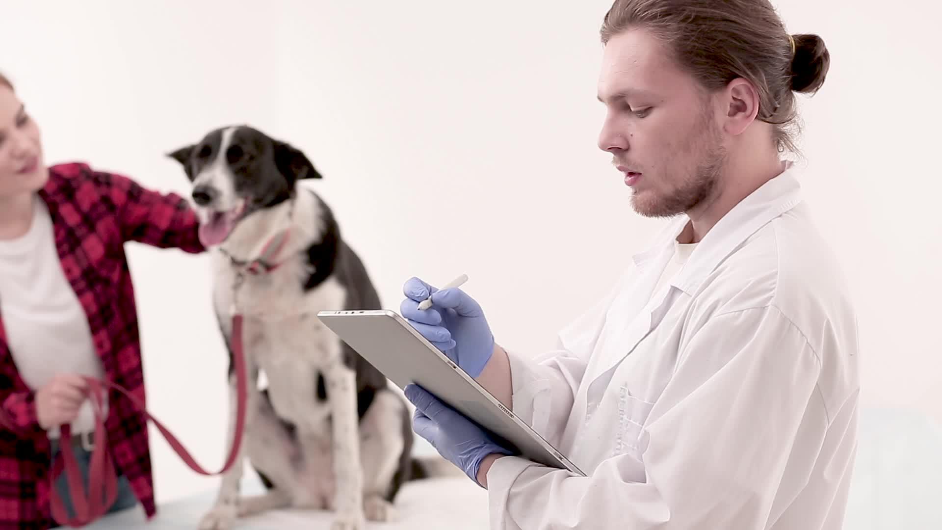 兽医在狗的医用卡上做笔记视频的预览图