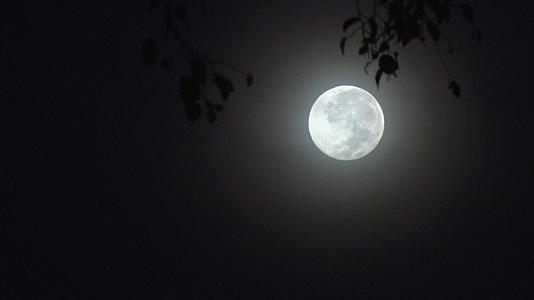 实拍夜晚月亮mp44K视频素材