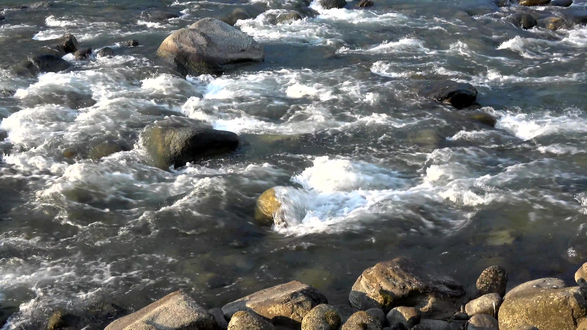 南河涌流视频的预览图