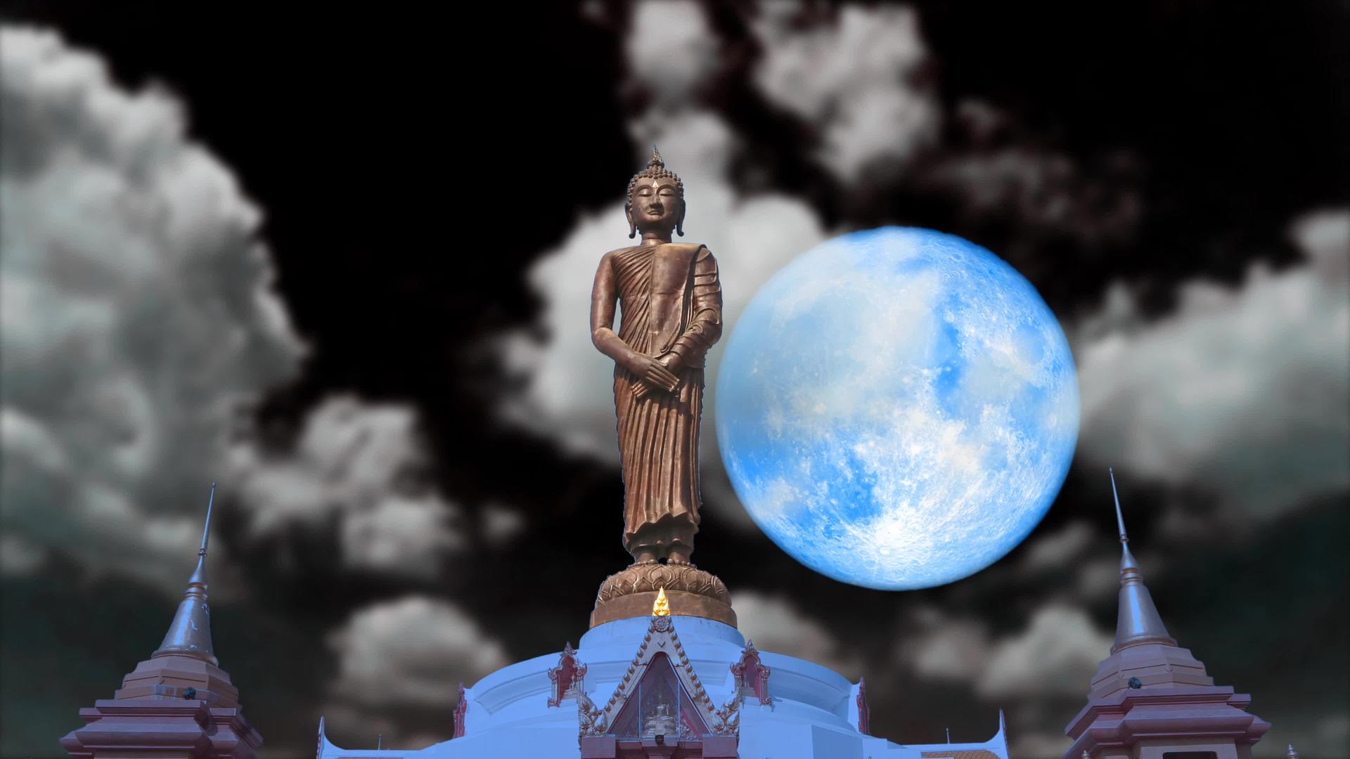 满蛋的蓝色月亮和布泽看着夜空中七天的图案视频的预览图