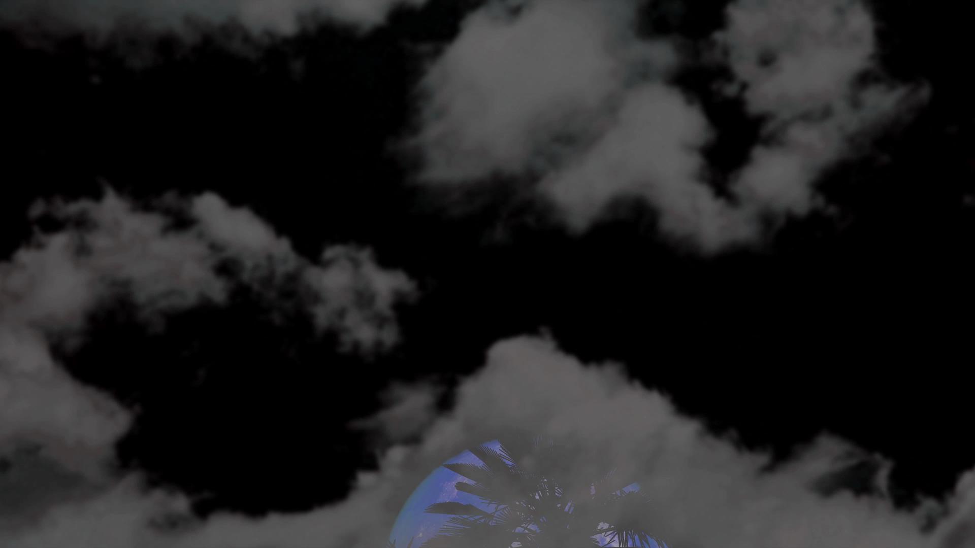 满月的全蓝月亮向后升起椰子树夜空中有乌云视频的预览图