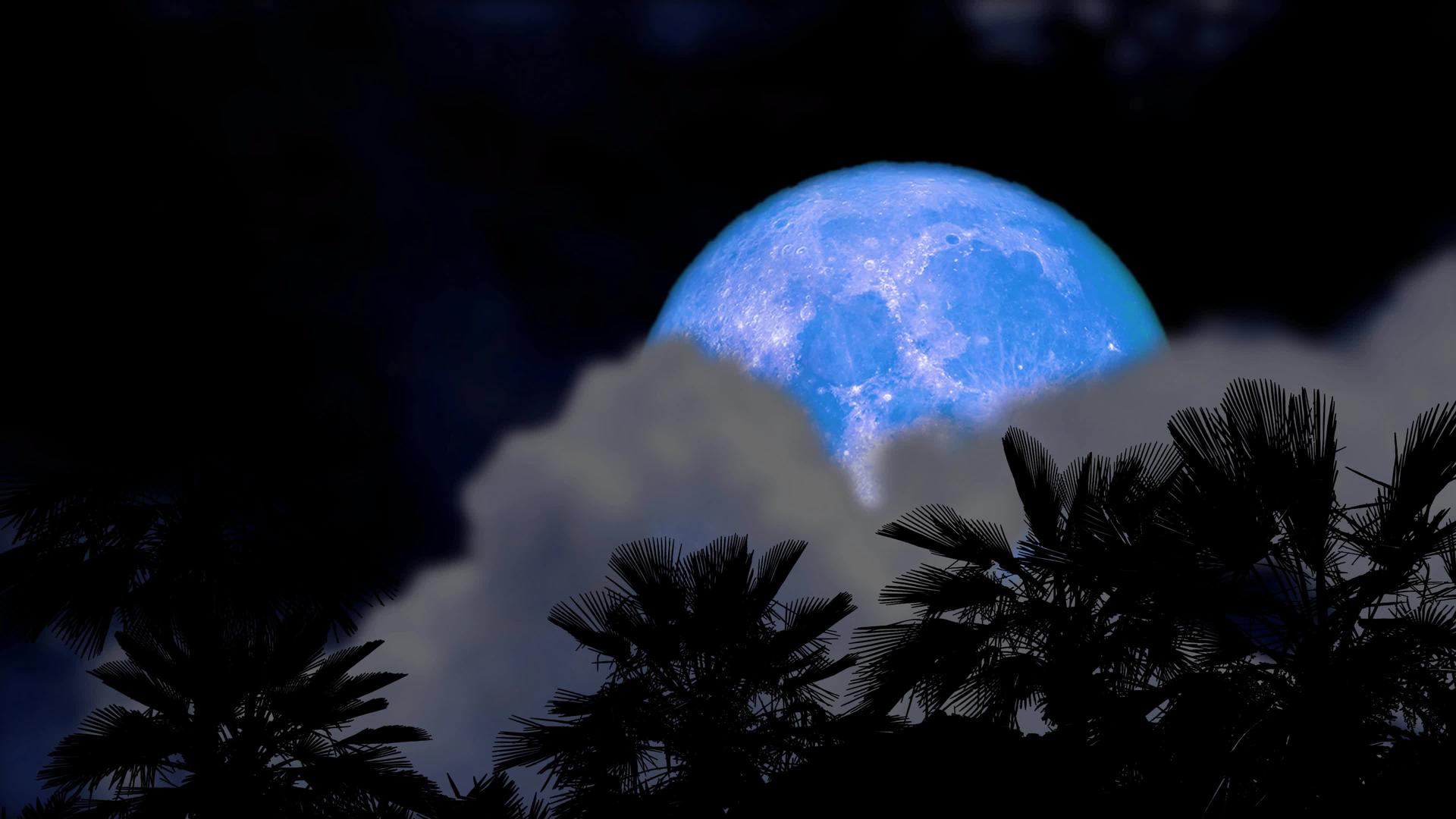 夜空充满了蓝色的月亮和模糊的云流过青春和古老的棕榈树视频的预览图