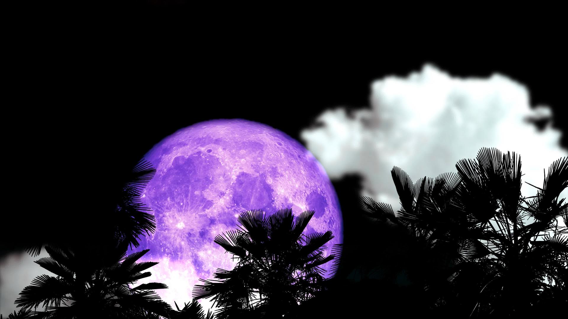 夜空中满月、紫月、阴暗的乌云在沙漠中闪烁古老的棕榈树在沙漠中闪烁视频的预览图