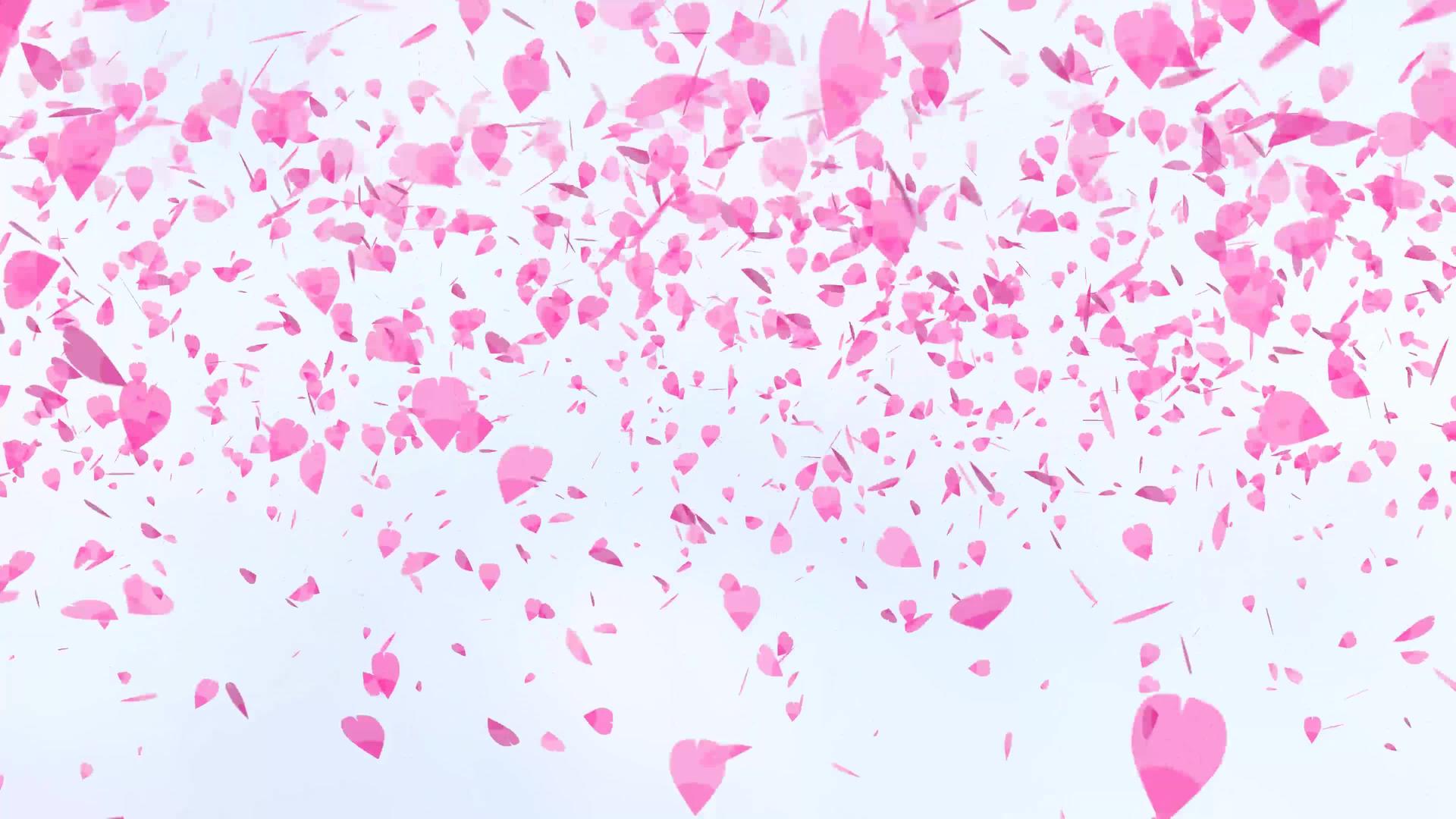 粉色沙库拉叶子漂浮在蓝天的背景中在蓝天中飞翔视频的预览图
