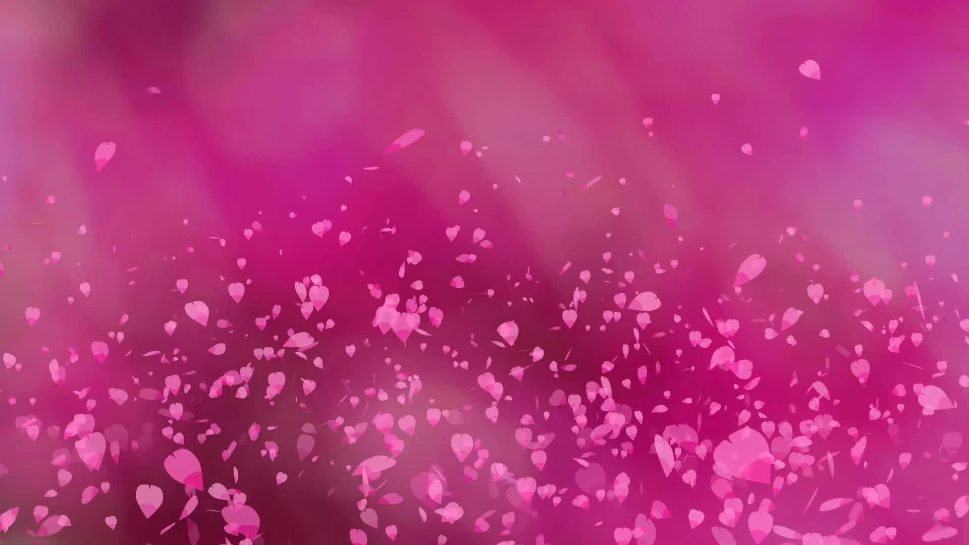 数以百万计的粉色沙库拉叶子漂浮在黑暗的粉色背景中视频的预览图