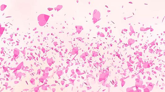 数以百万计的粉色沙库拉叶子漂浮在空中在空中升起在光线中升起视频的预览图