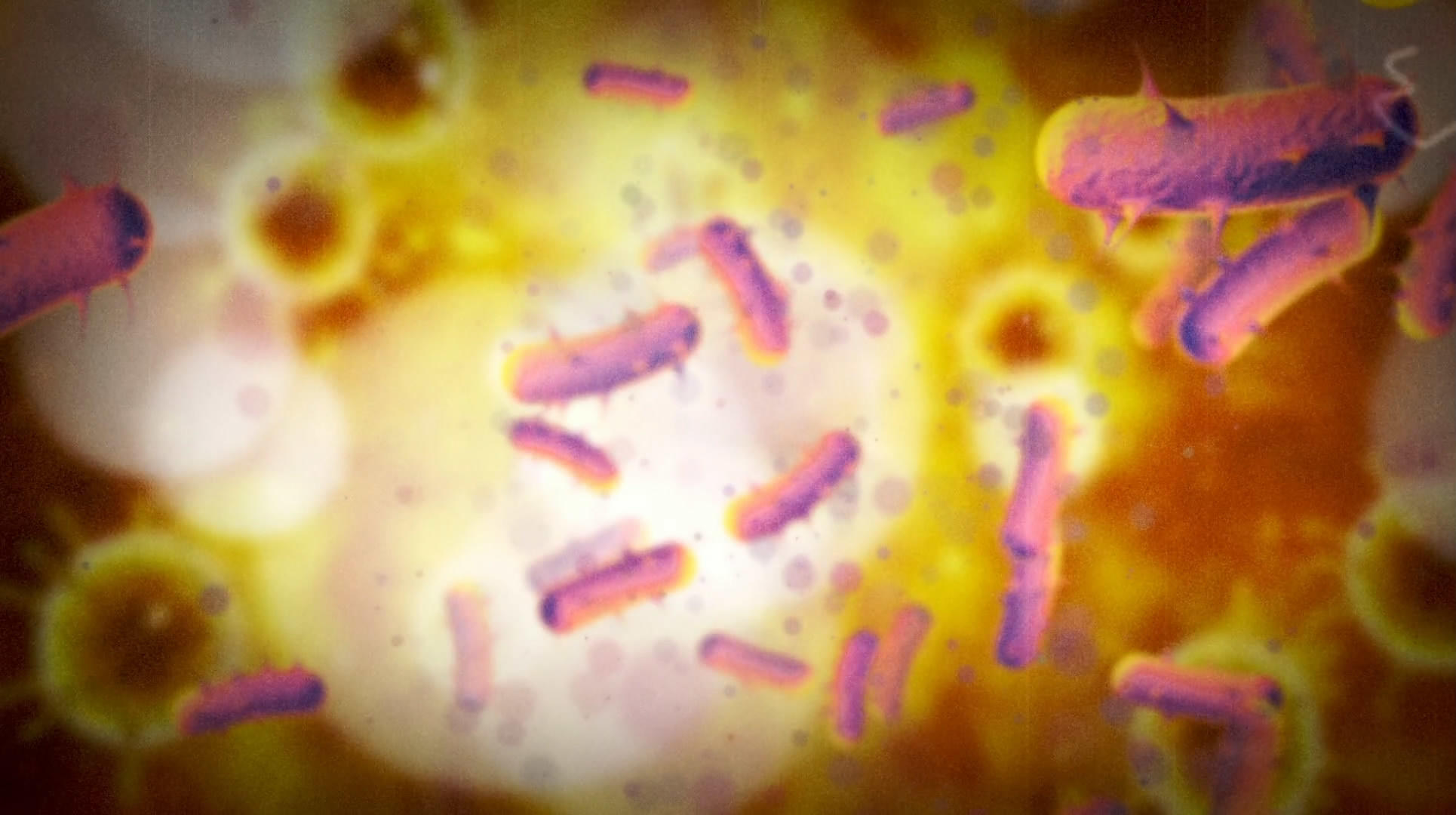 病毒微生物视频素材视频的预览图