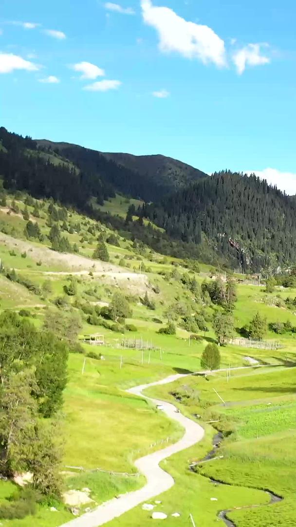 峡谷山林类乌齐伊日西藏风景视频的预览图