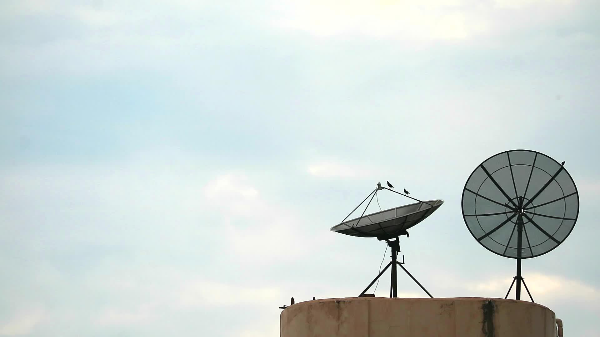 鸟儿站在两个卫星天线上视频的预览图