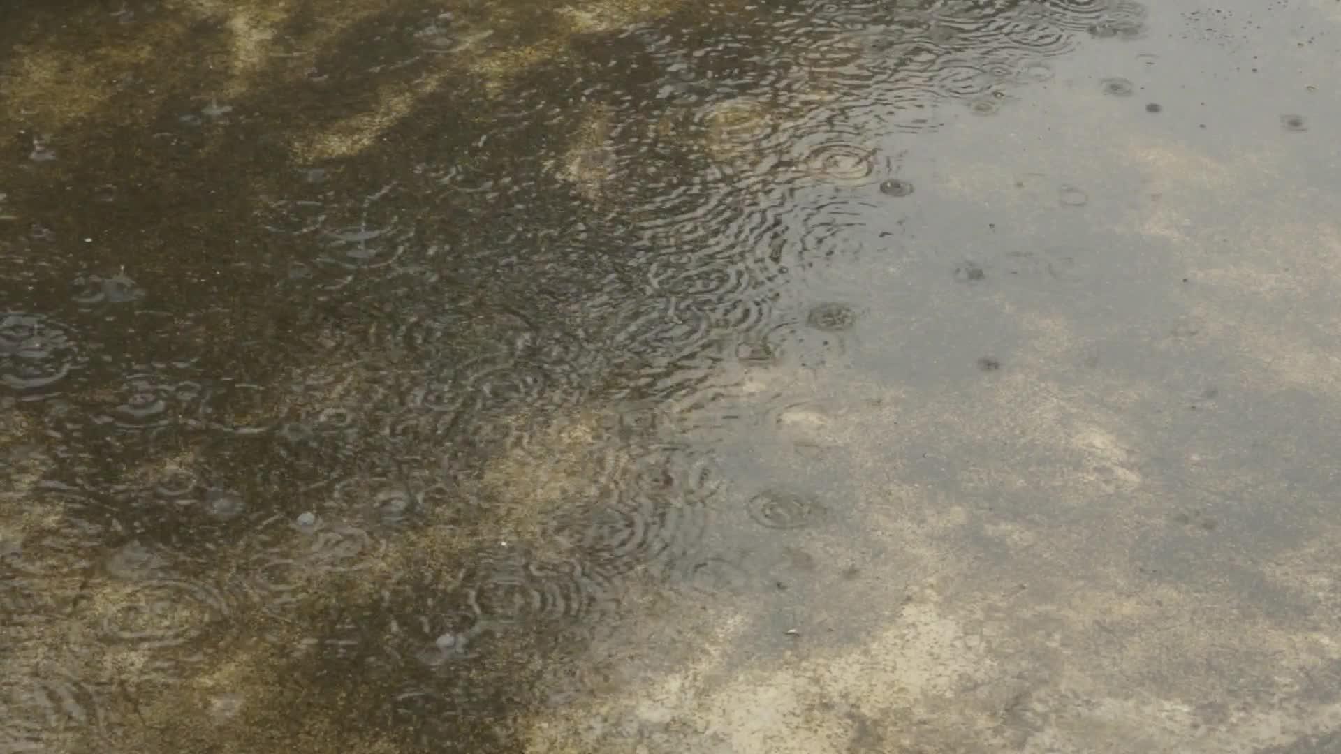 雨落在地上视频的预览图