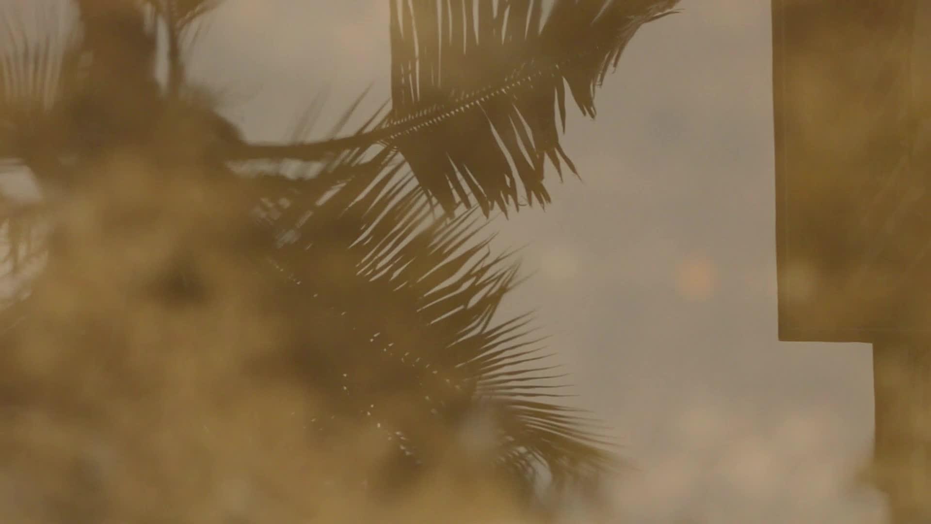 椰子棕榈叶的雨滴落在水面上视频的预览图