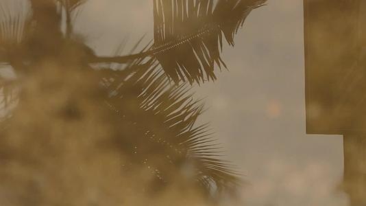 椰子棕榈叶的雨滴落在水面上视频的预览图