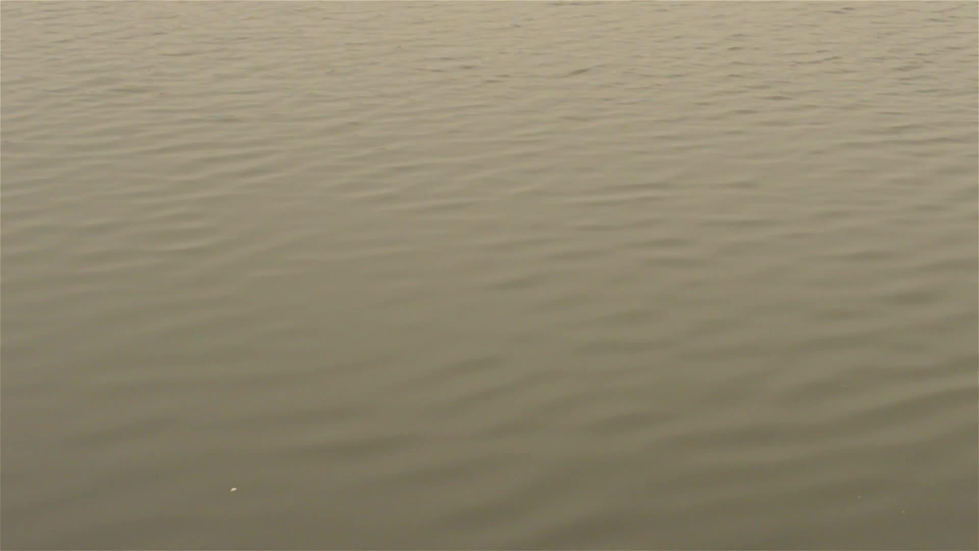 干净的湖面特写视图柔和的风轻轻地吹过蓝色的水晶视频的预览图