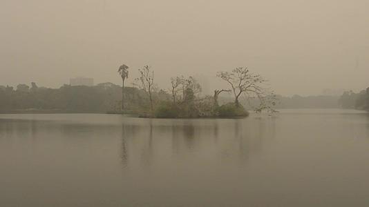 在冬季雾蒙蒙的清晨拉宾德拉萨罗巴湖视频的预览图