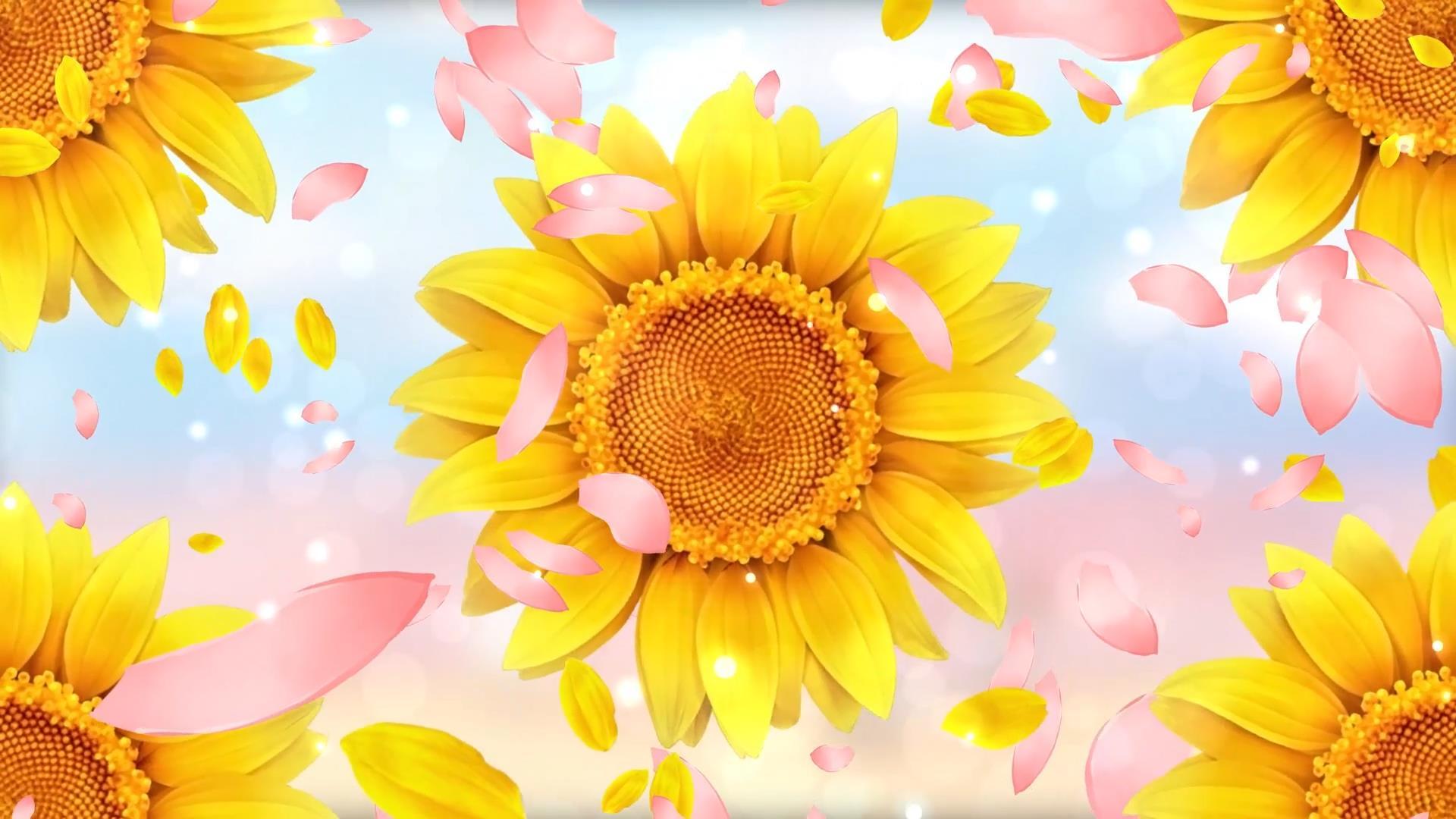 动态唯美大气向日葵旋转花瓣飘落视频背景元素视频的预览图