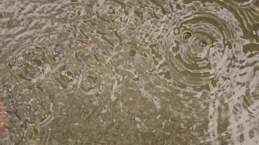 季风雨落在地上轻大雨滴落在水面上视频图片上雨天季风和季节视频的预览图