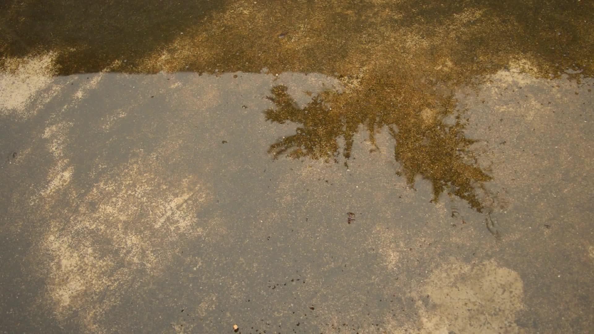雨滴落在水面上雨季雨滴落在地上雨滴落在水泥屋顶上视频的预览图