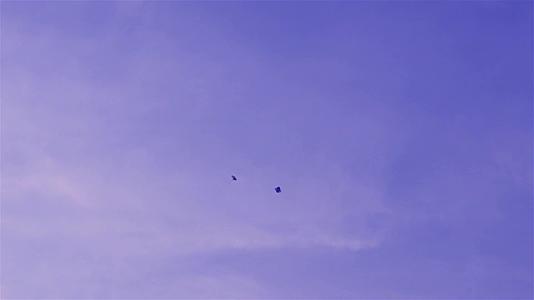 风筝在天空中飞翔在加尔各答中飞翔视频的预览图