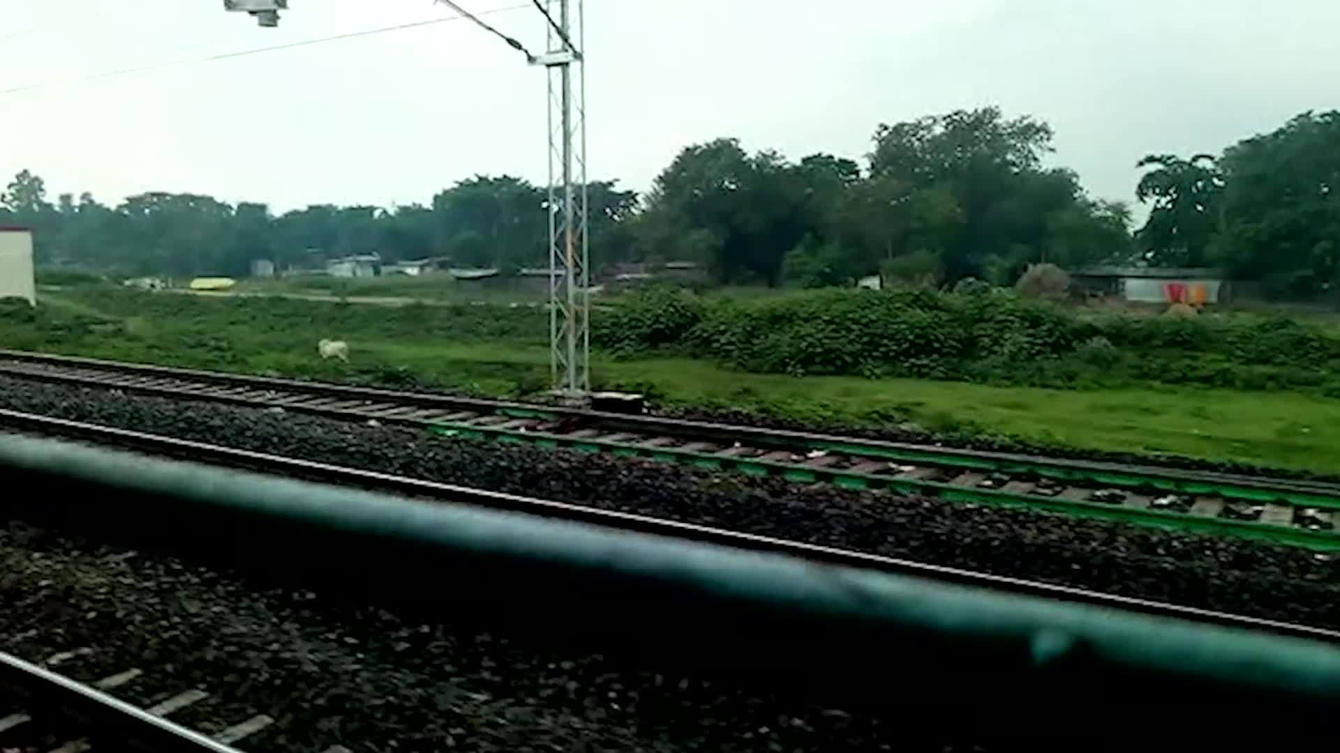 看着窗外的火车窗口看着当地火车被视频封锁的铁路旅行视频的预览图