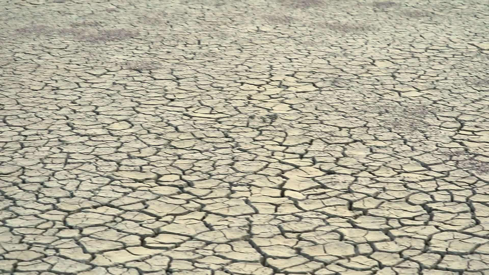 全球变暖导致植物死亡和干旱土地视频的预览图