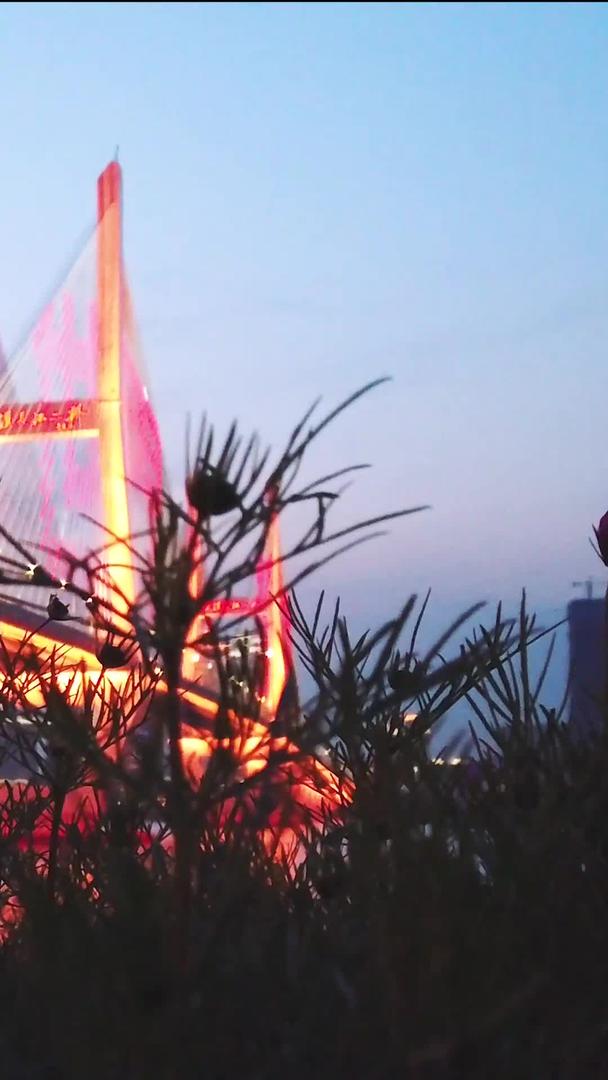 城市夜景桥的低角度花丛视频的预览图