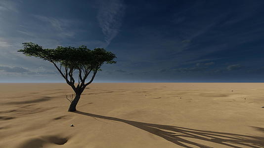 沙漠中只有一棵树在日落时被军车撞伤Niger和chad视频的预览图