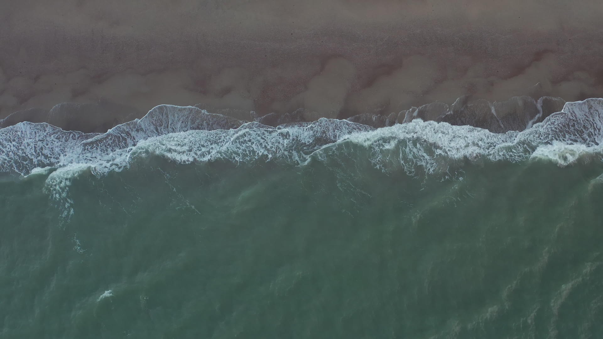 海洋沙滩视频的预览图