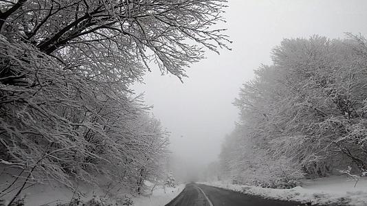 冬天在下雪的乡村道路上驾驶第一视角的汽车天气恶劣雾能见度低视频的预览图