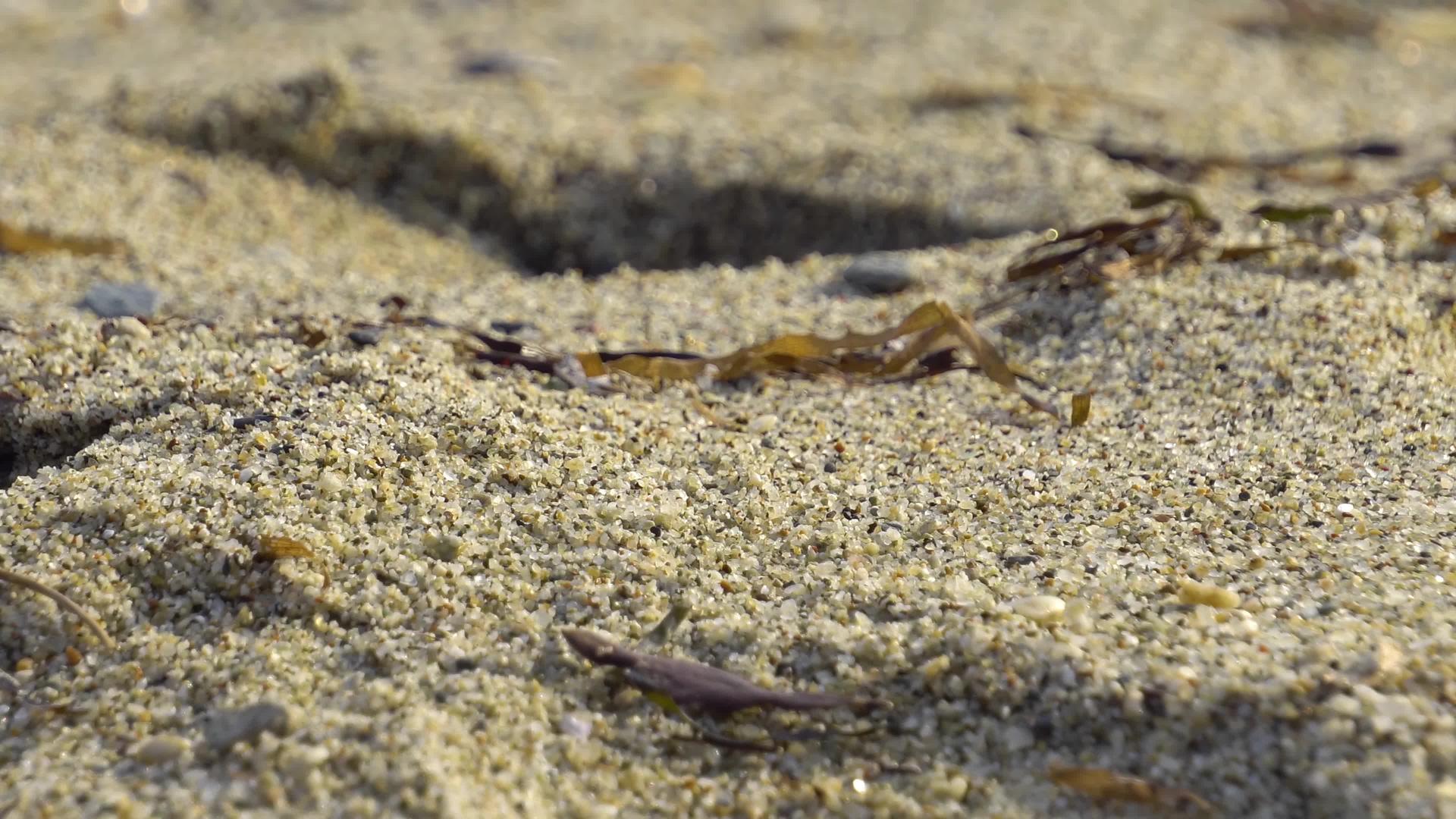 石头和海浪在热带海滩上视频的预览图