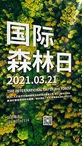 绿色国际森林日视频海报视频的预览图