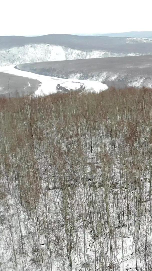 大兴安岭的白桦林航拍视频的预览图