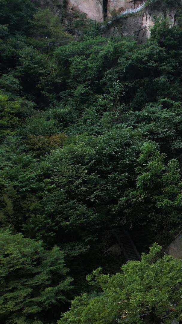 5A洛阳白云山九龙大峡谷景观区白龙瀑布航拍视频视频的预览图