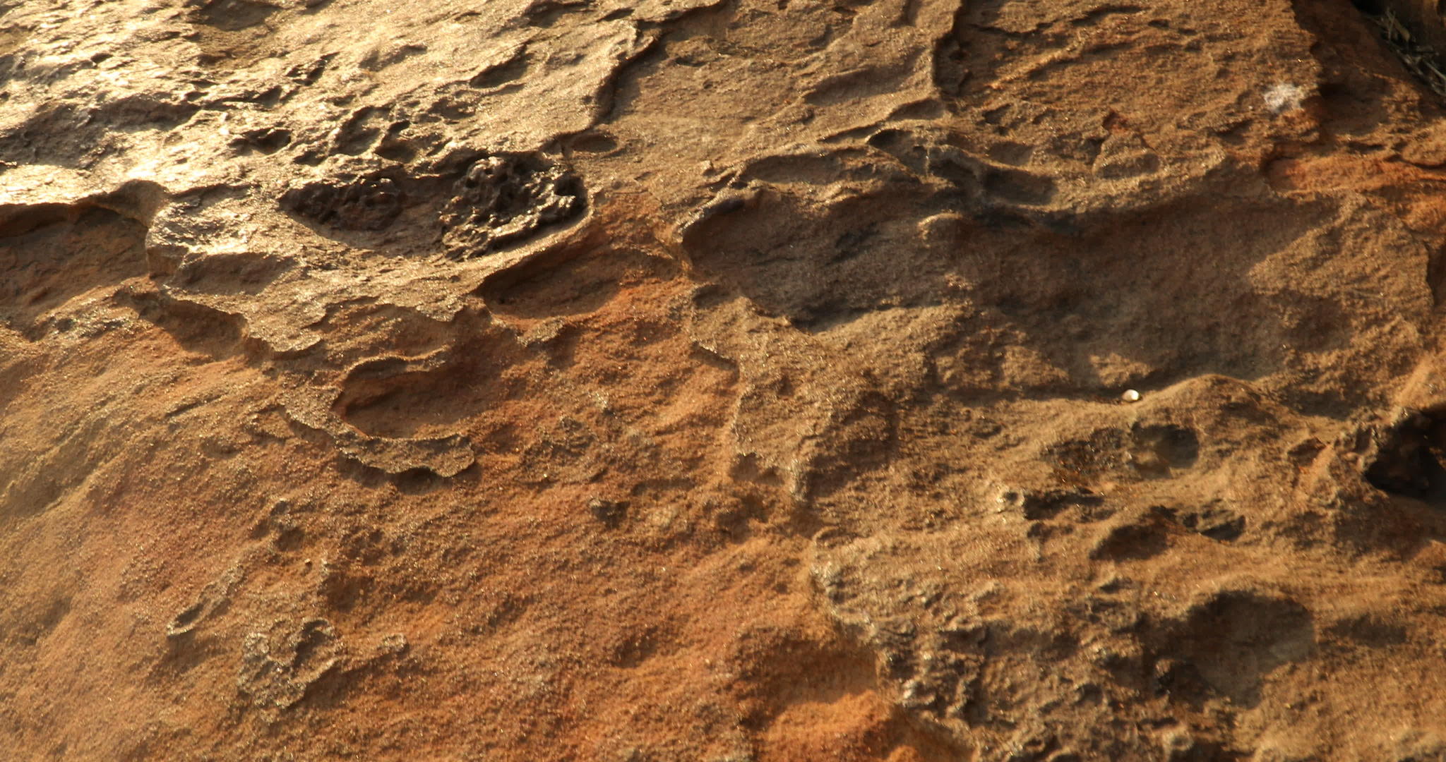 原石质地视频的预览图