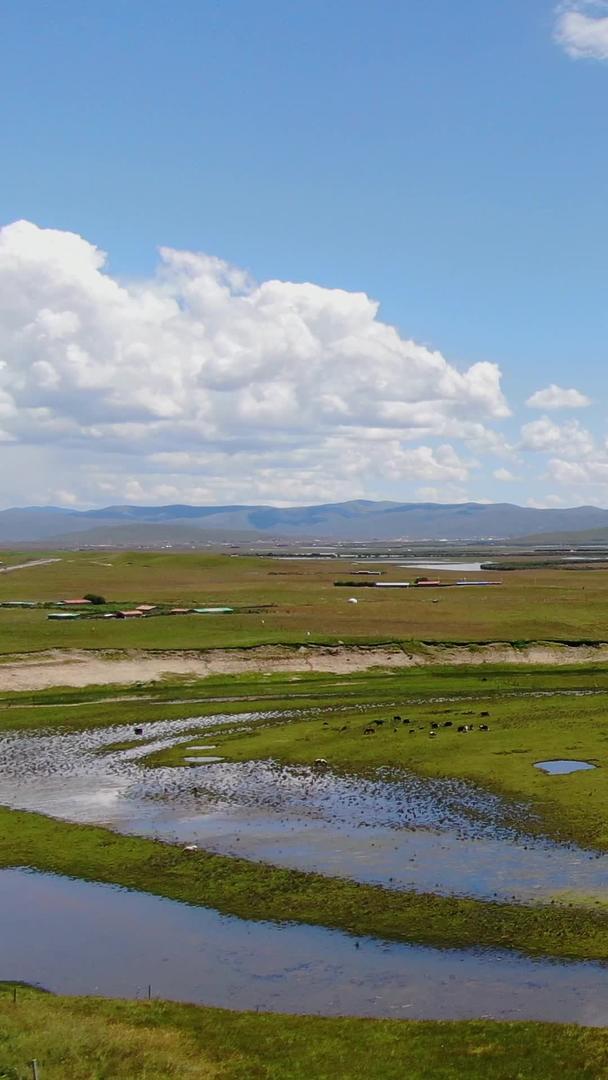 唐克红原大草原湿地牧场航拍视频视频的预览图