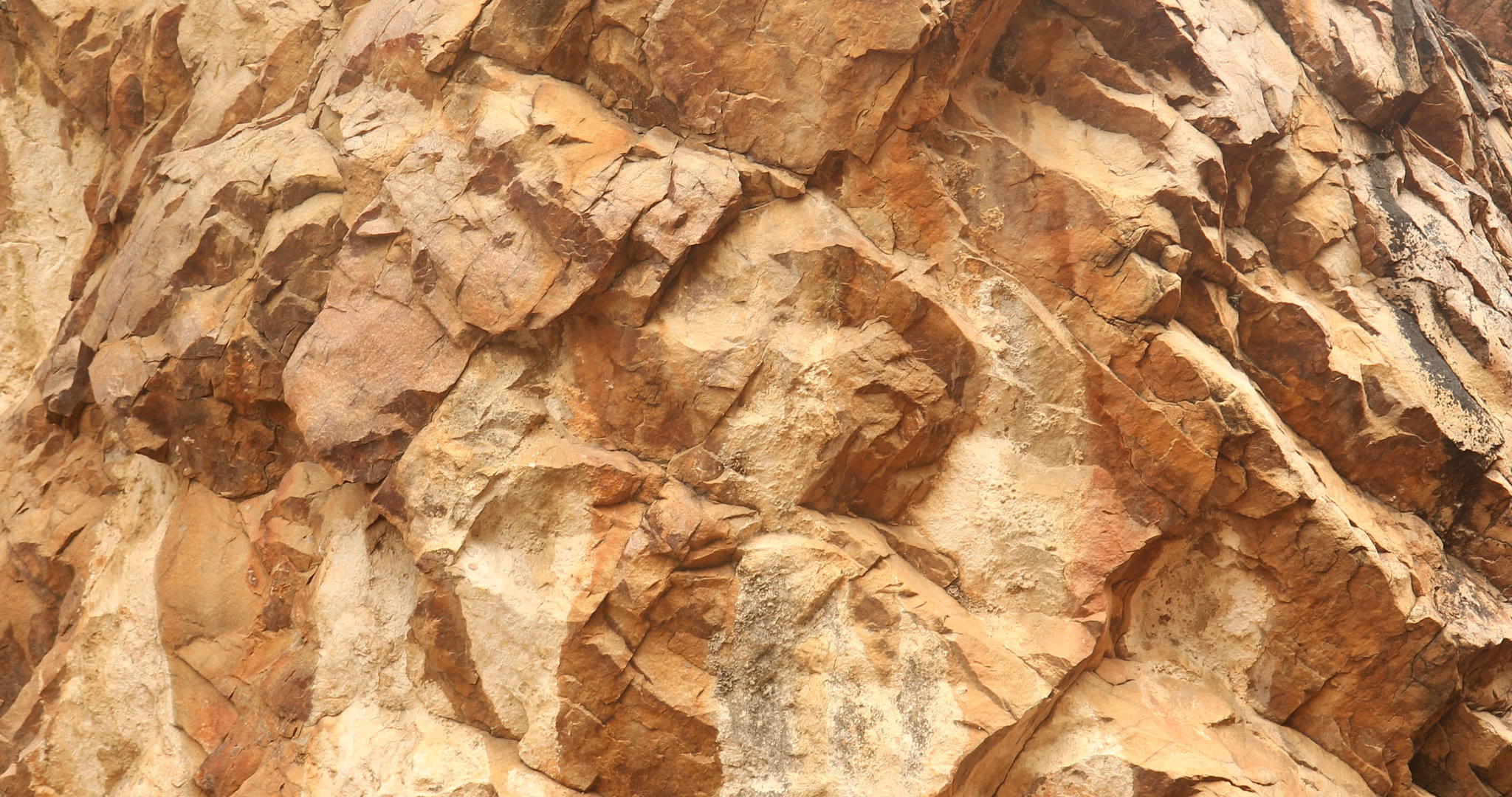 原石质视频的预览图