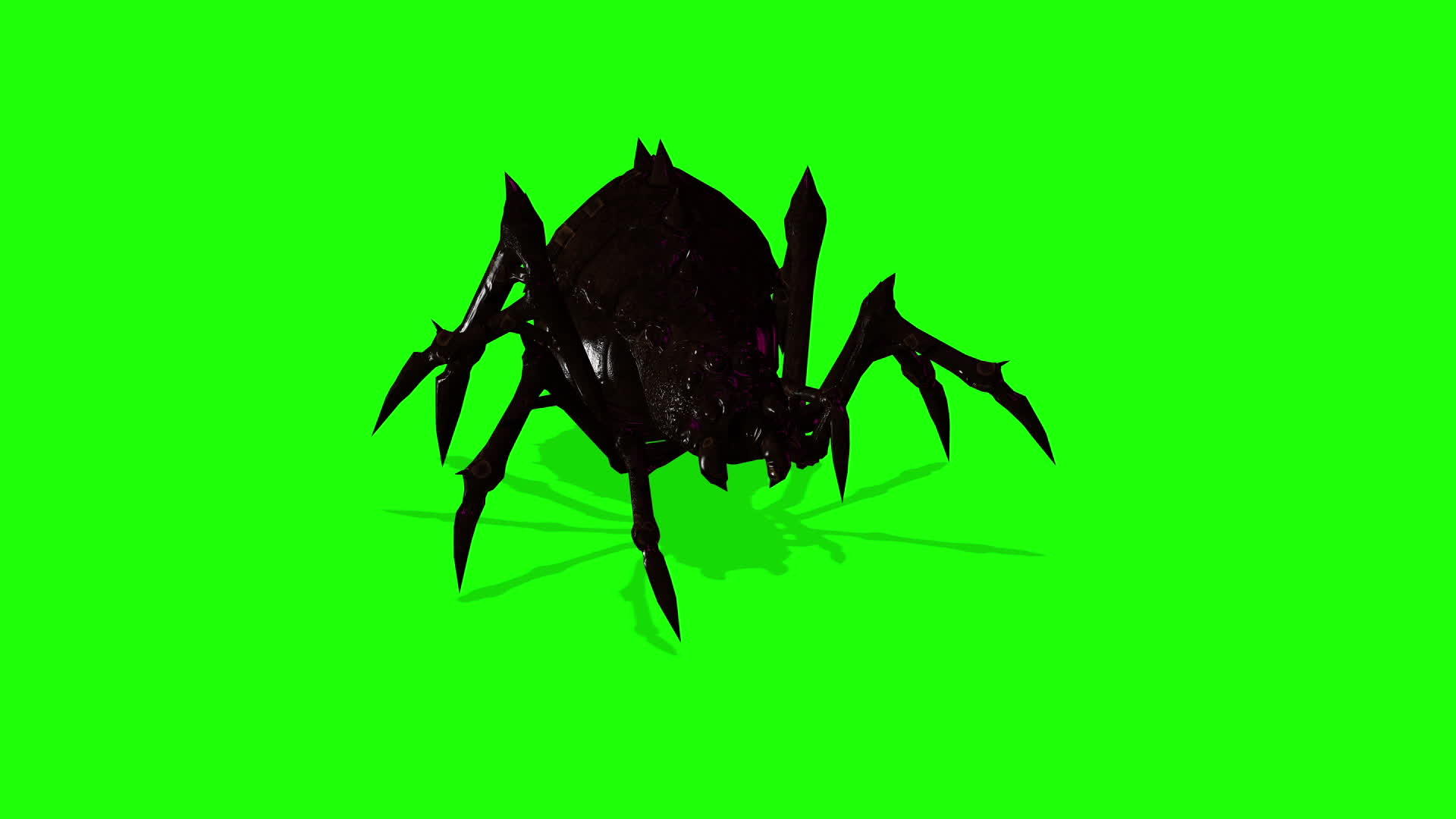 绿色屏幕上的蜘蛛动画令人毛骨悚然视频的预览图