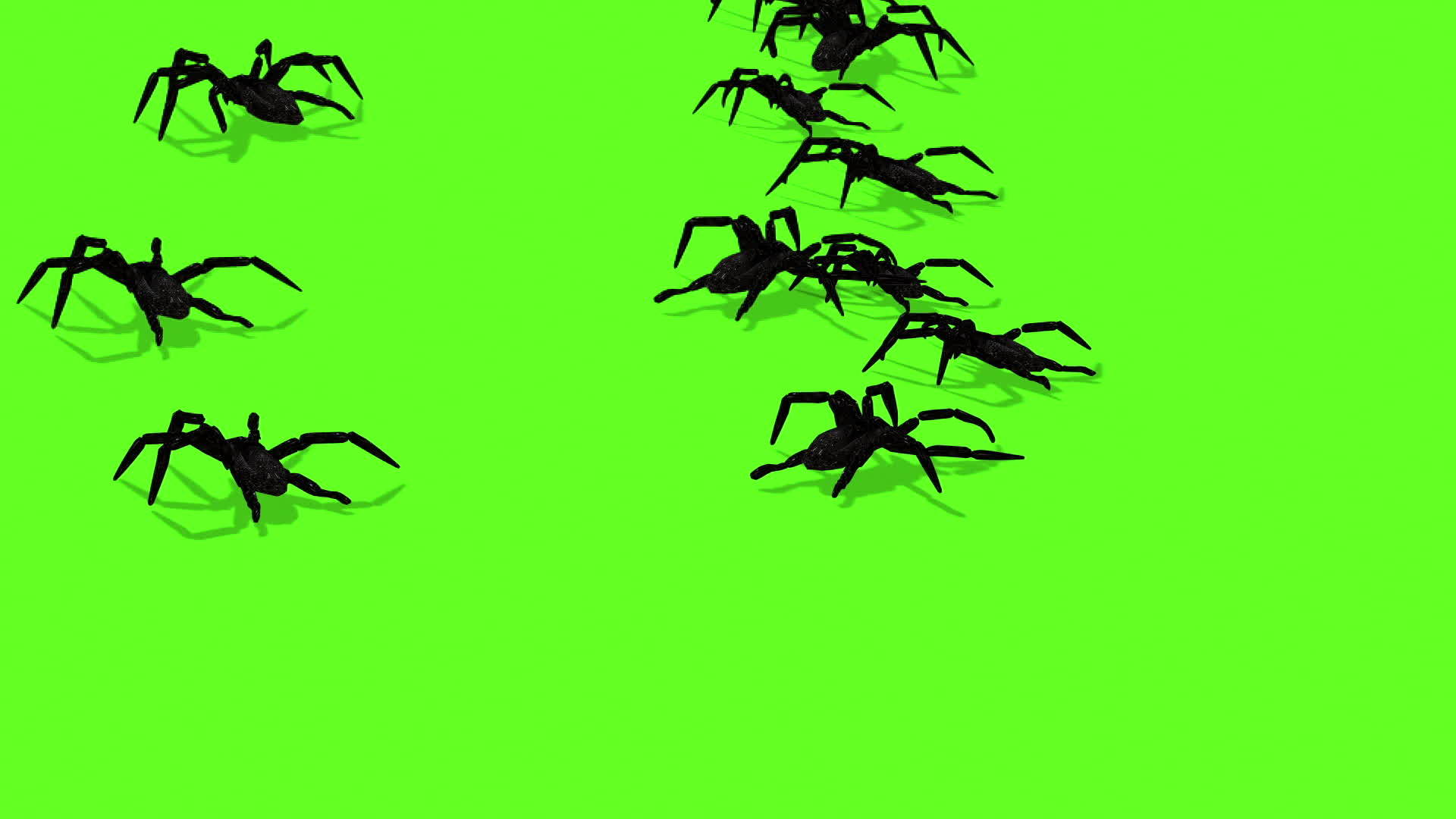 绿色屏幕上的蜘蛛动画令人毛骨悚然视频的预览图