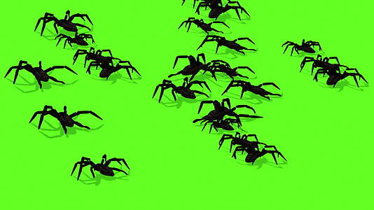 蜘蛛动画绿幕视频的预览图