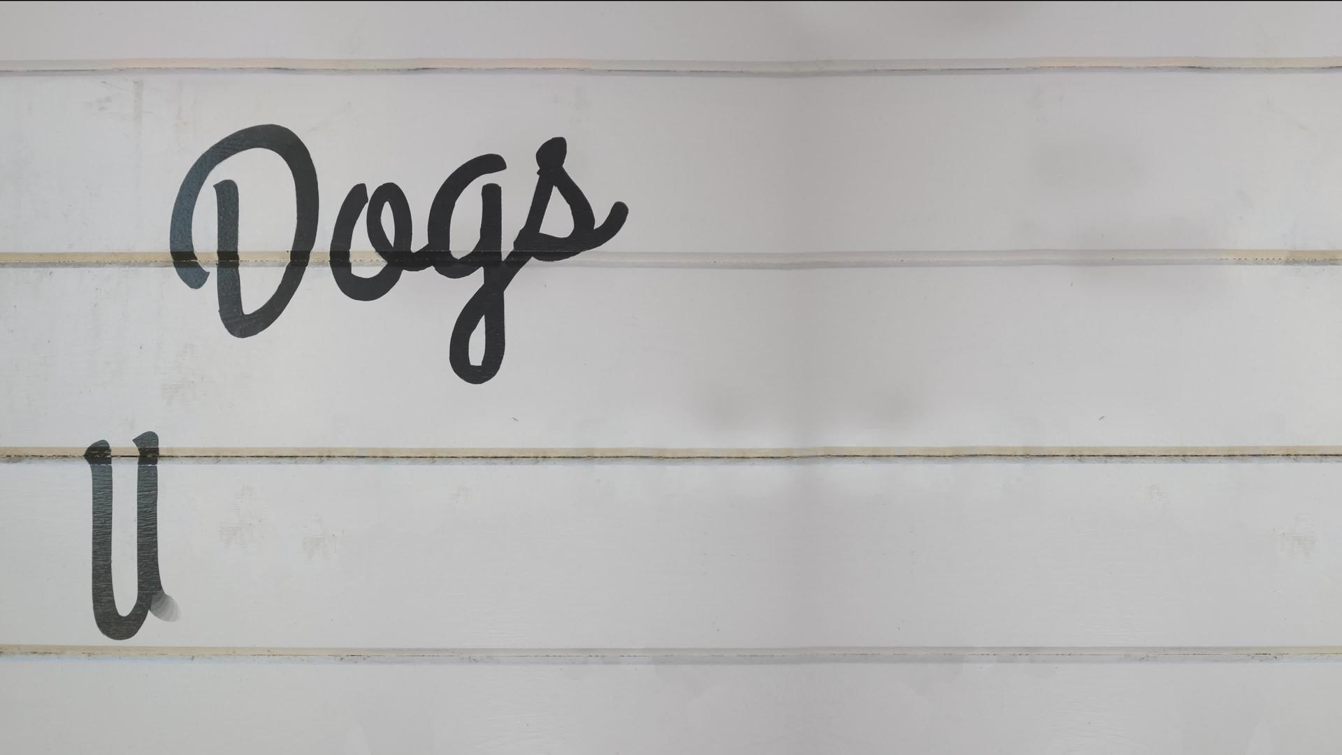 警犬欢迎标志视频的预览图